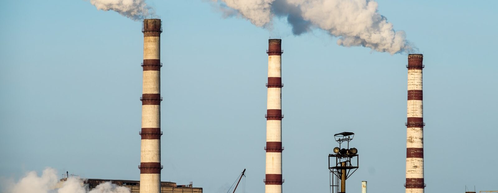 three white-and-brown smoke